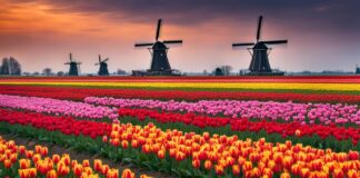15 Best Places to Visit in Netherlands