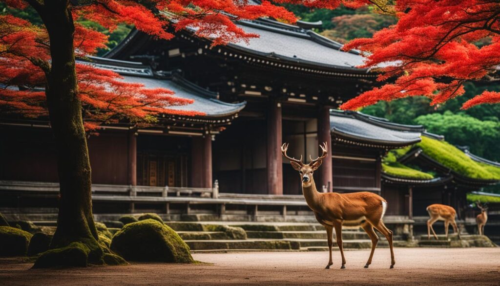 Japan's most photogenic sites