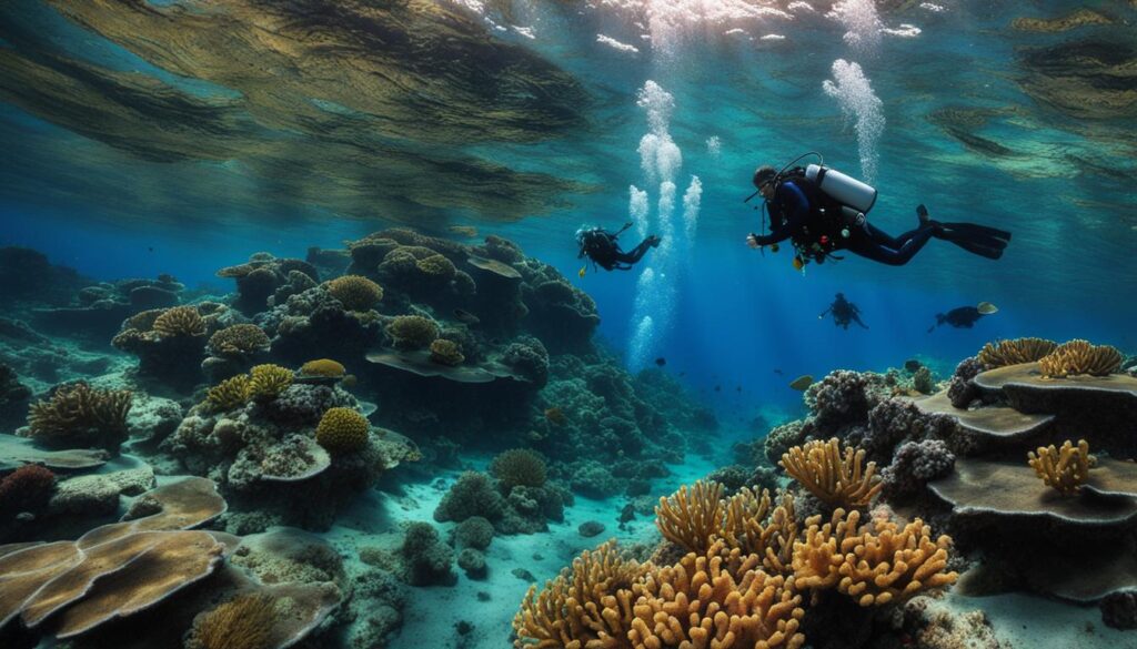 divers exploring a reef in Bodrum