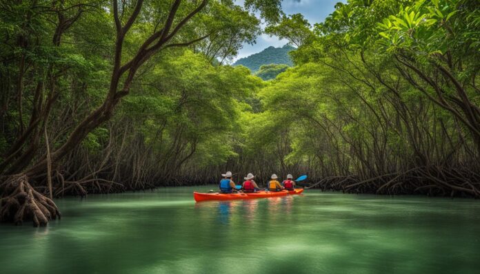 eco-friendly things to do in Langkawi