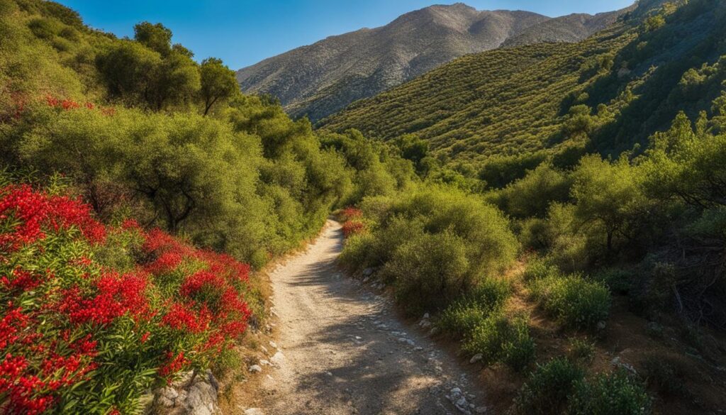 hiking destinations in Crete