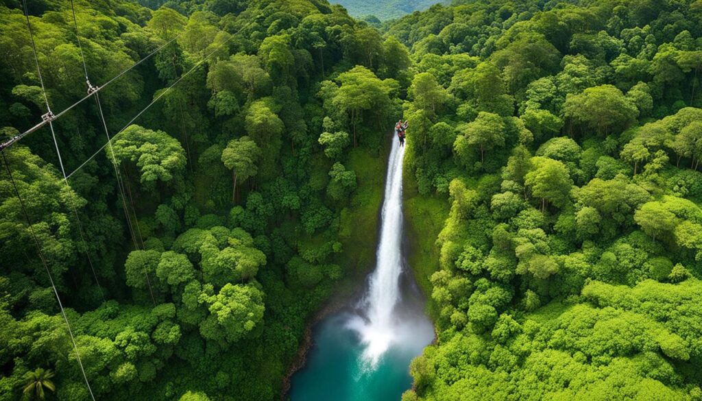 Samaná zipline adventure overlooking the rainforest