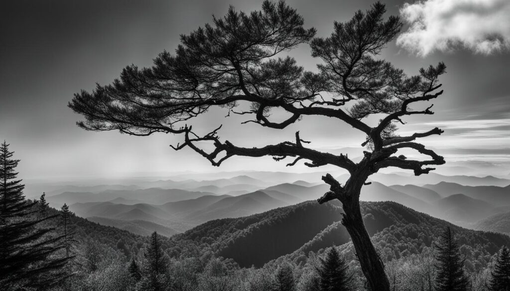 Smoky Mountains view