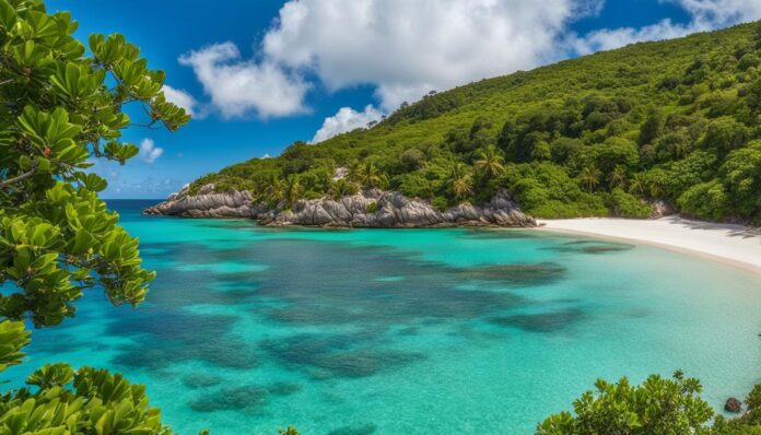 Top 10 Things to Do in Anse de Colombier