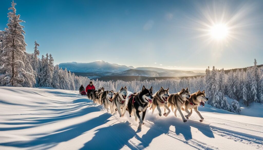 dog sledding vacations Sweden