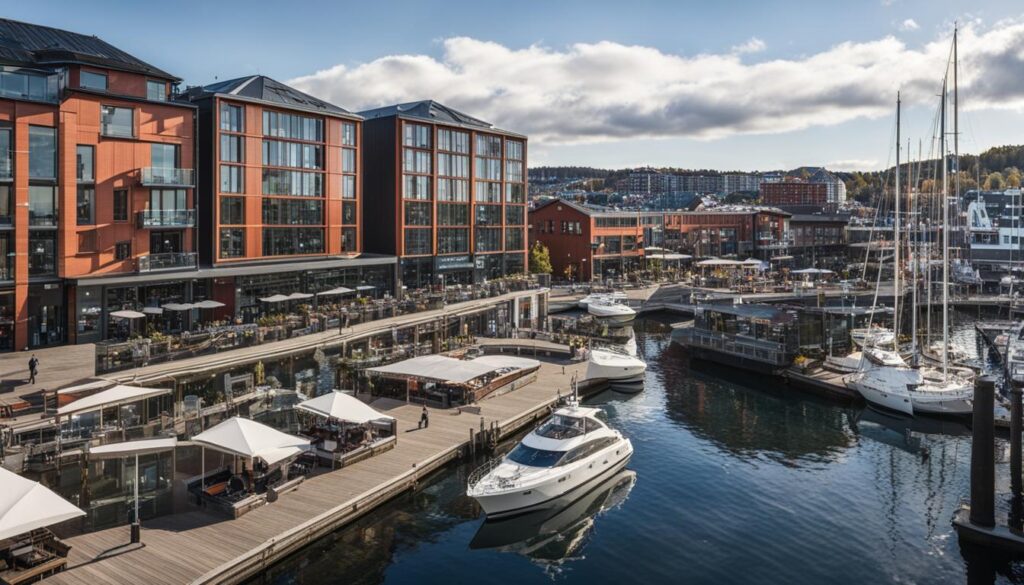 Aker Brygge Pros and Cons