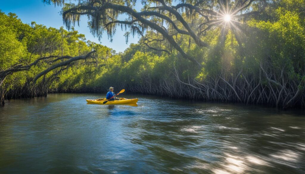 Best Kayaking Tours in Tampa Mangroves