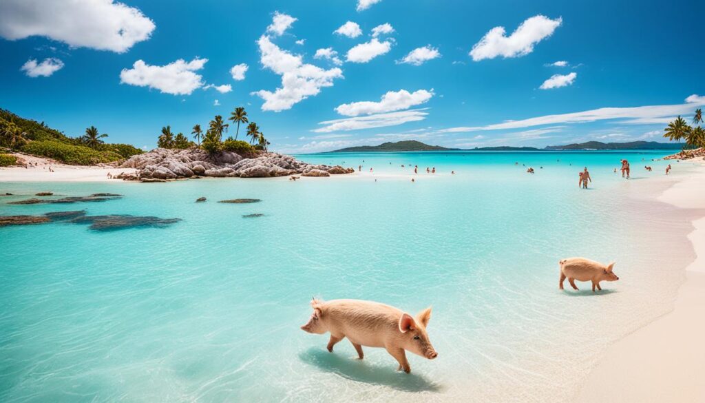 Best Pig Beach Tours Near Nassau