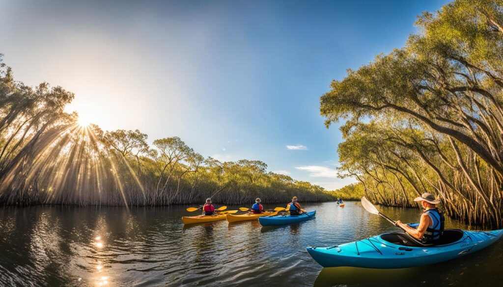Best kayaking tours in Tampa mangroves