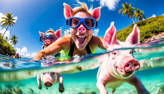 Can you swim with pigs near Nassau? Best tours?
