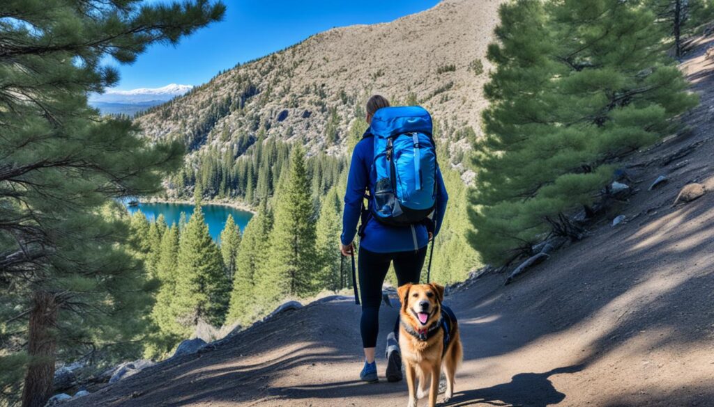 Carson City dog-friendly trails