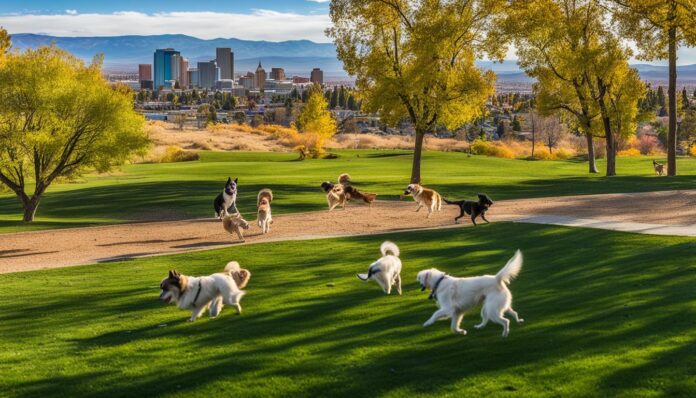 Dog-friendly activities in Reno?