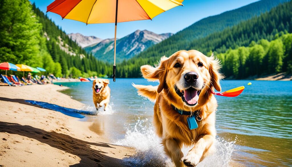 Dog-friendly beach in Reno