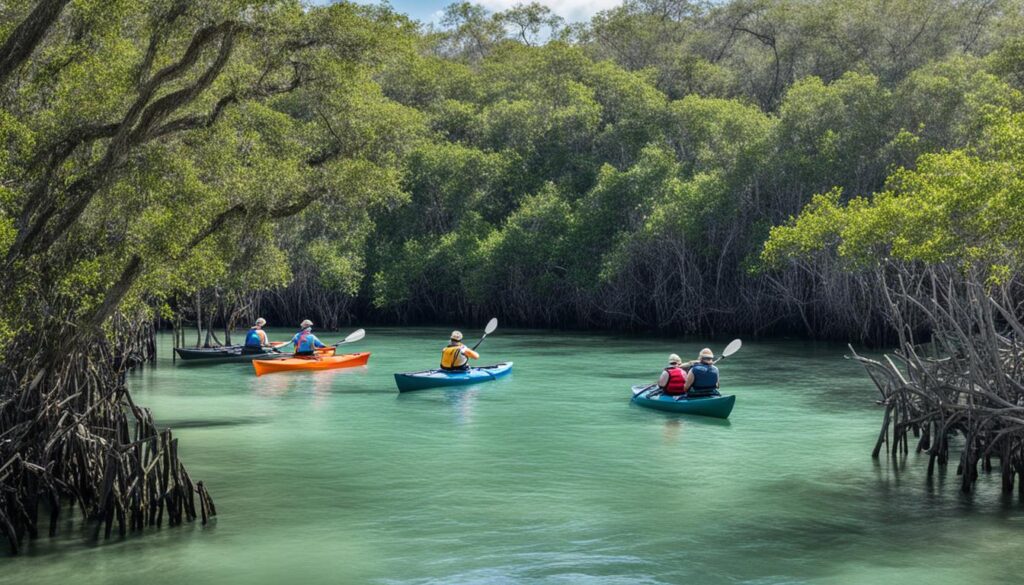 Eco-Friendly Kayak Tours in Tampa Bay