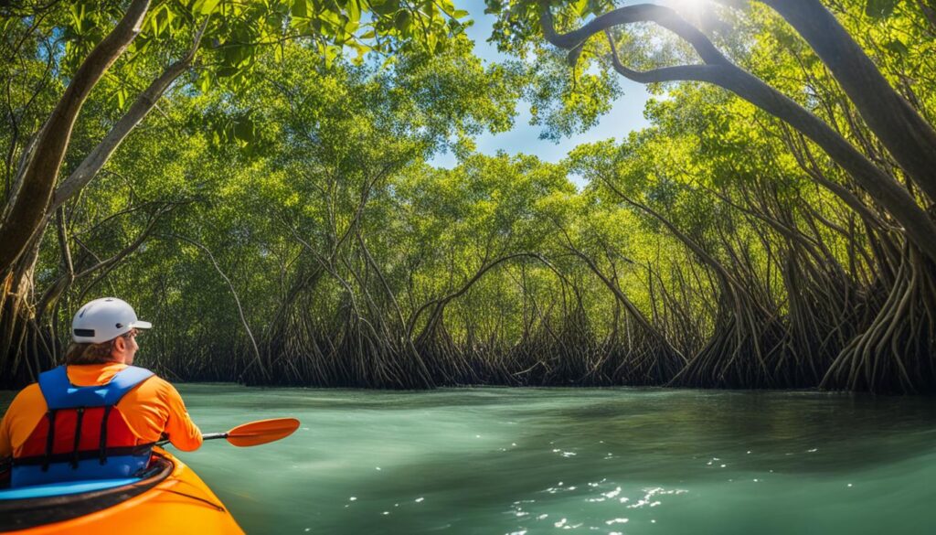 Kayak rental in Florida