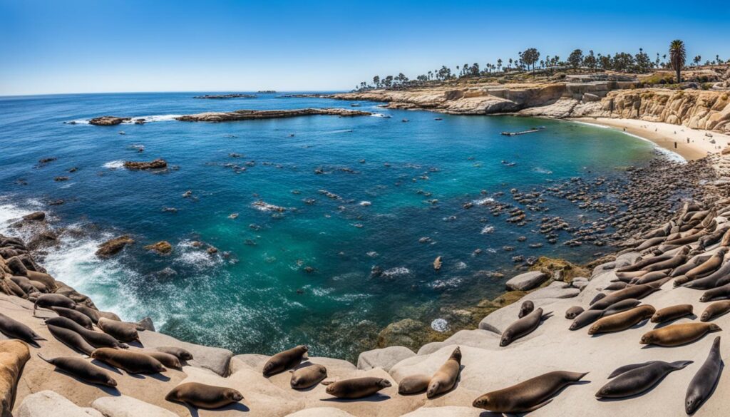La Jolla Seals and Sea Lions