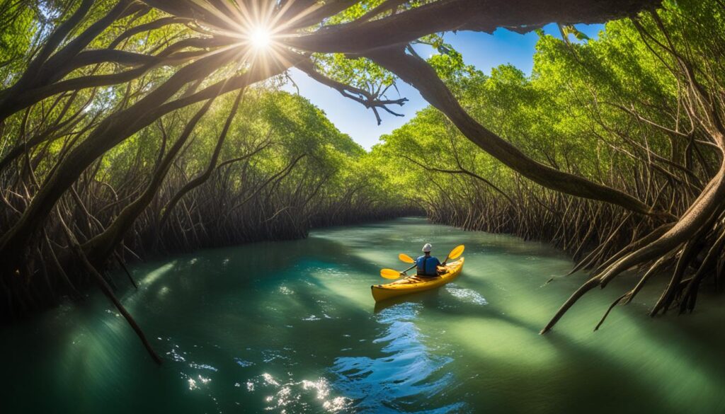 Paddle the mangrove tunnels