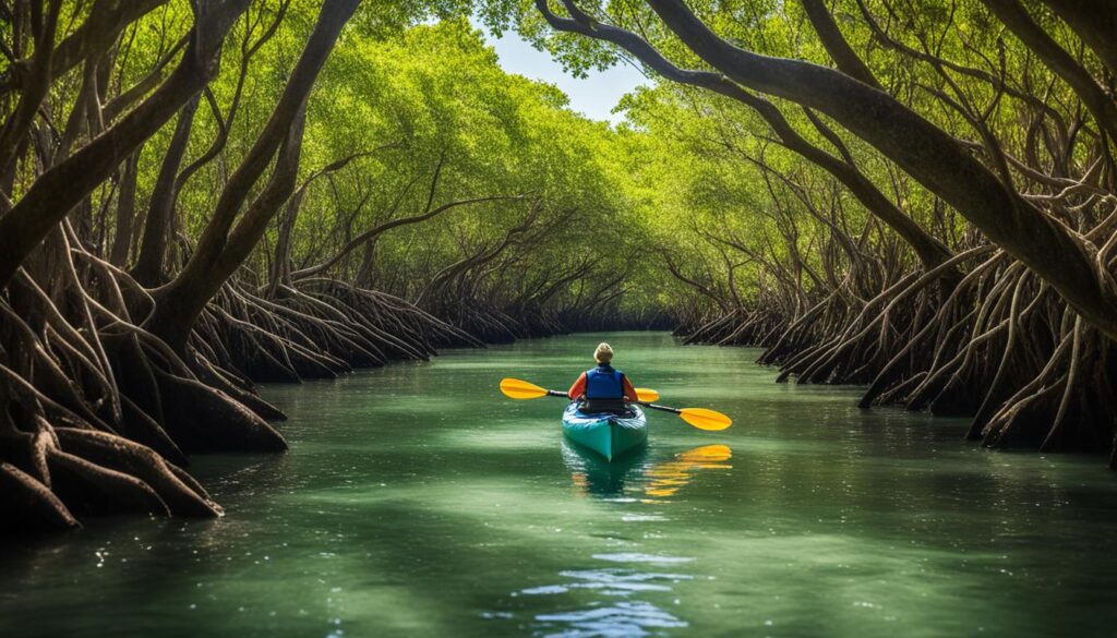 Paddle the mangrove tunnels