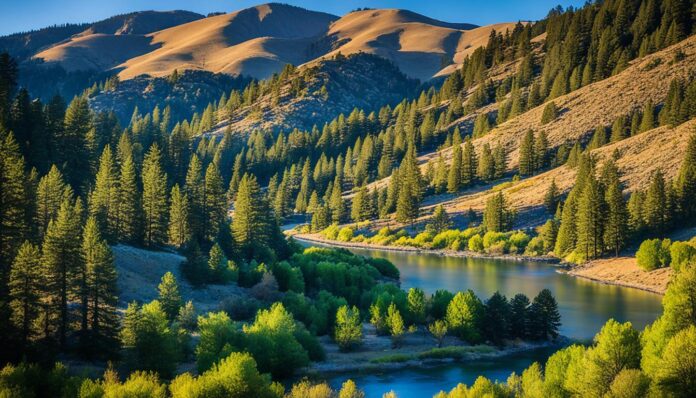 Reno day trips from San Francisco