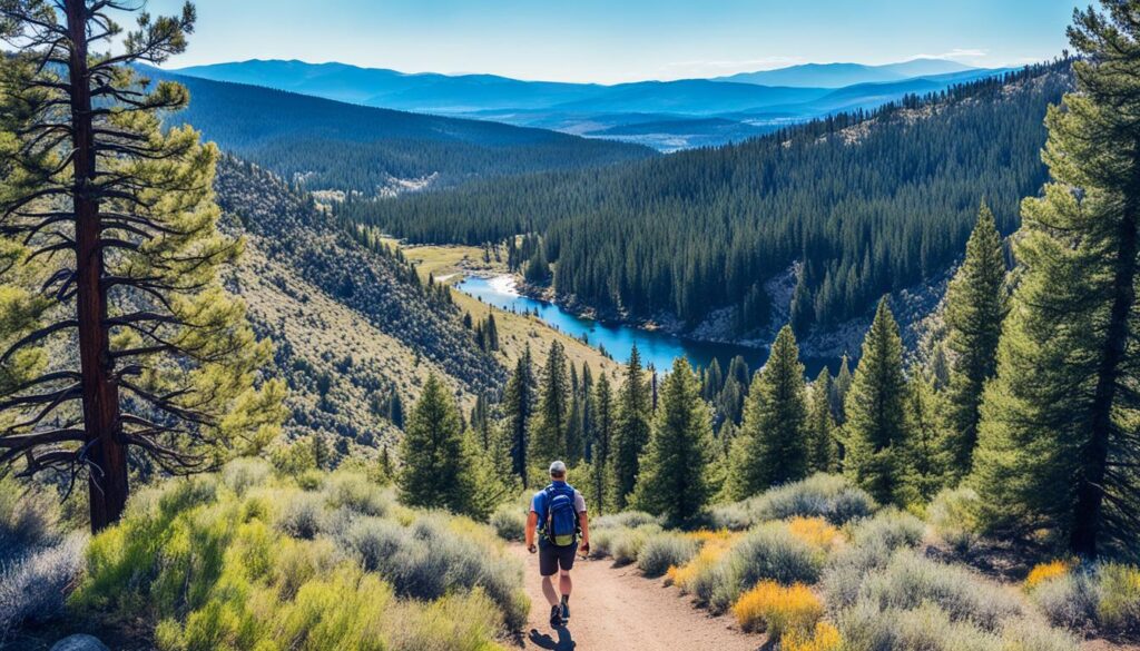Reno hiking trails with scenic views