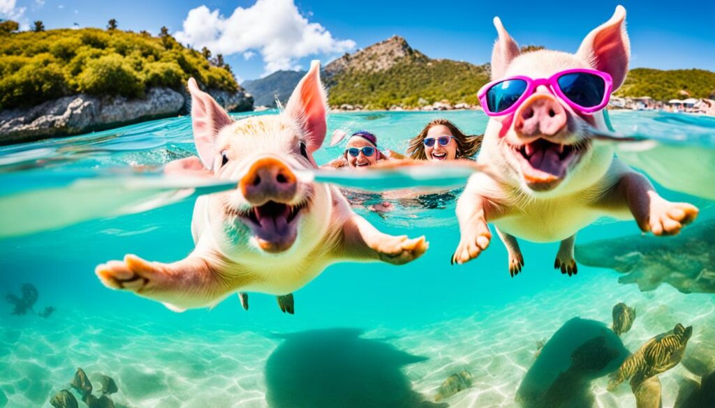 Top-rated pig beach excursions
