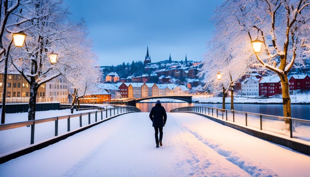 Trondheim Winter