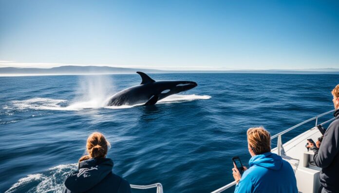 What are some unique activities for whale watching in Vancouver?