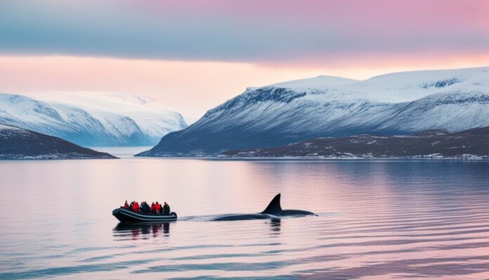 What is the best time of year to visit Tromsø for whale watching?
