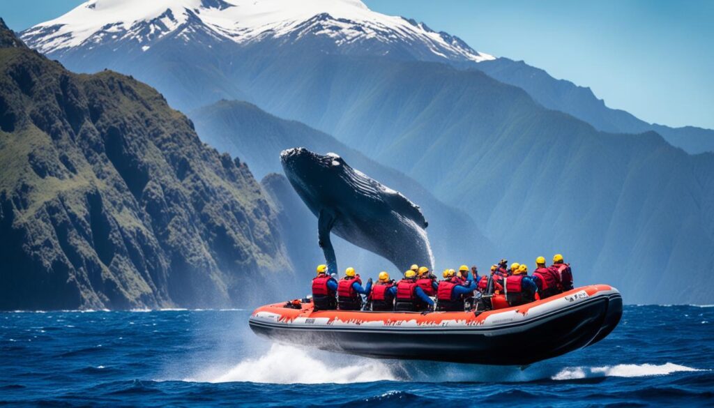 Zodiac Whale Watching Expedition