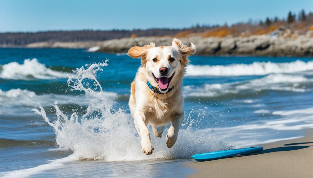 canine-friendly vacation spots in Canada