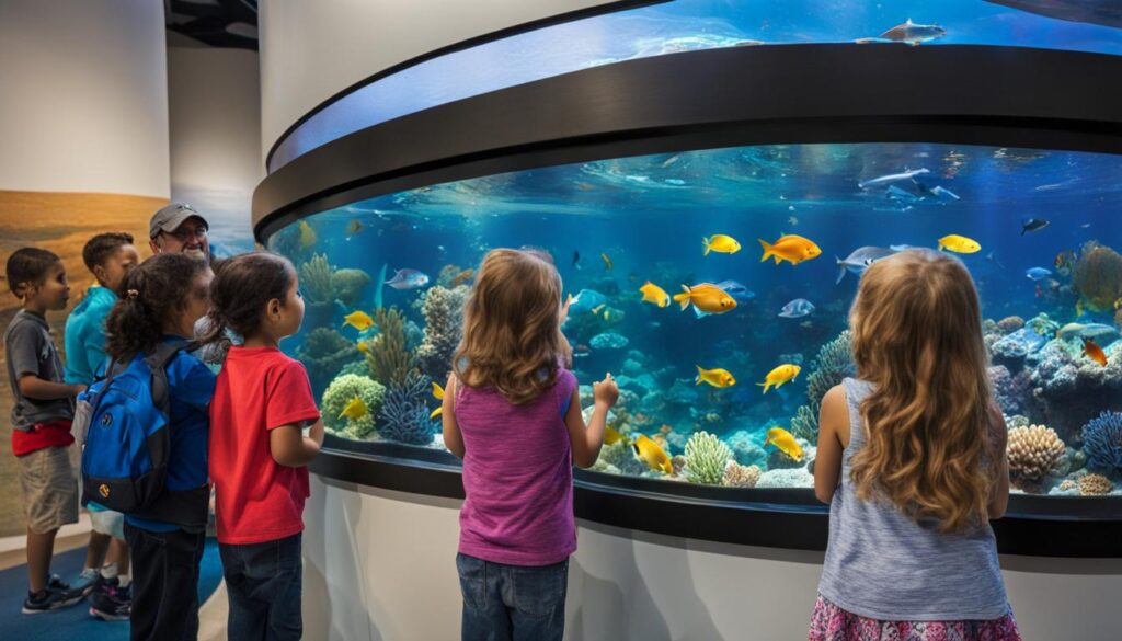 family-friendly activities in San Diego