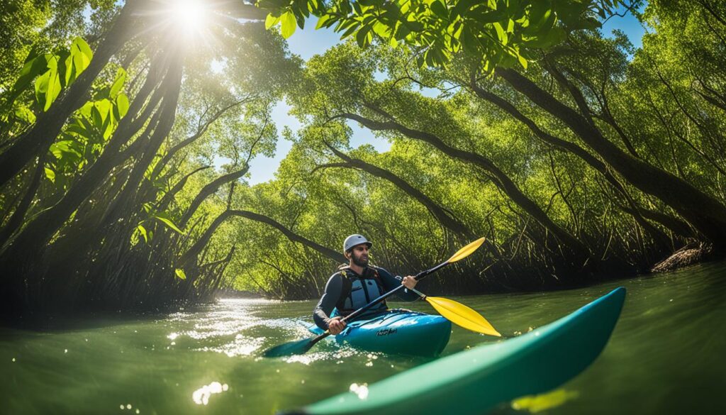 kayak tour in Tampa mangroves