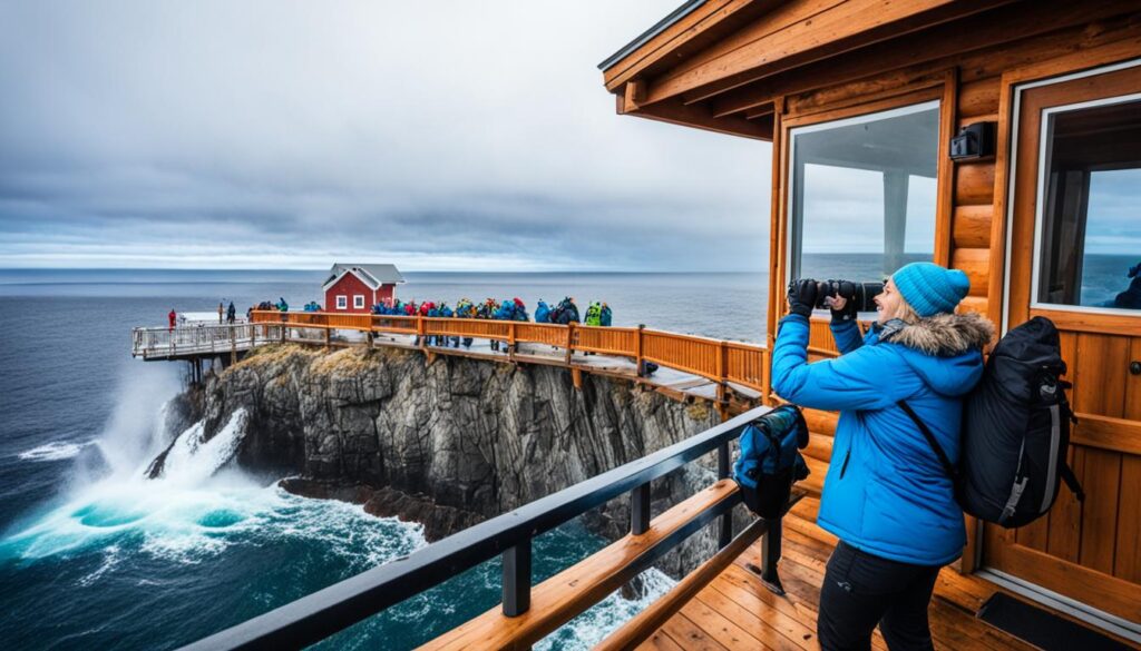 remote coastal cabin whale watching