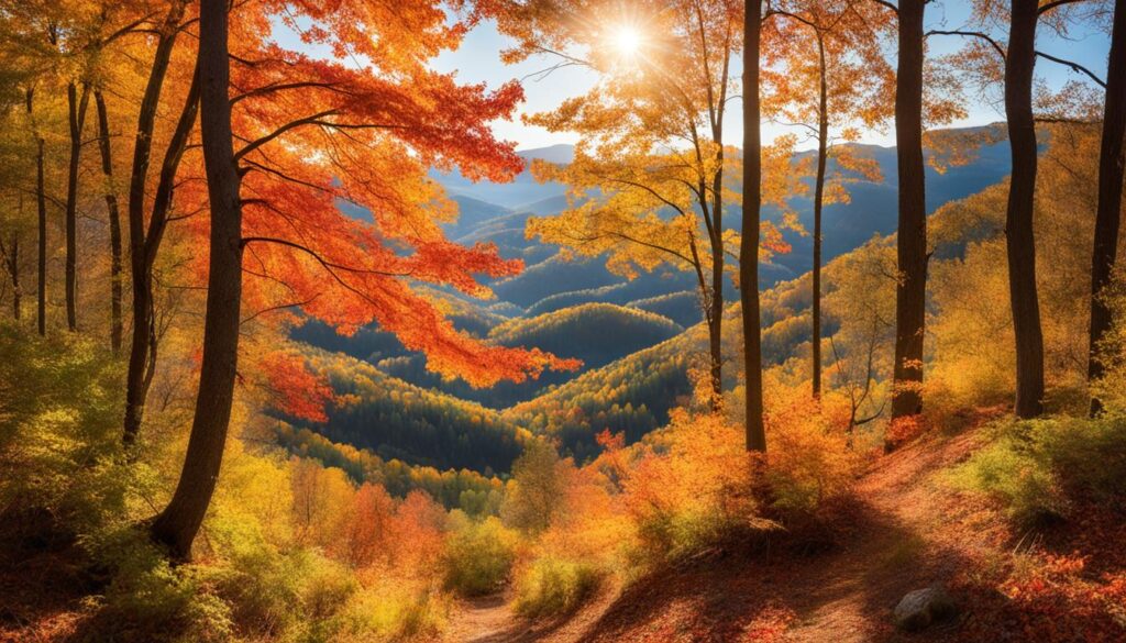 scenic fall landscapes