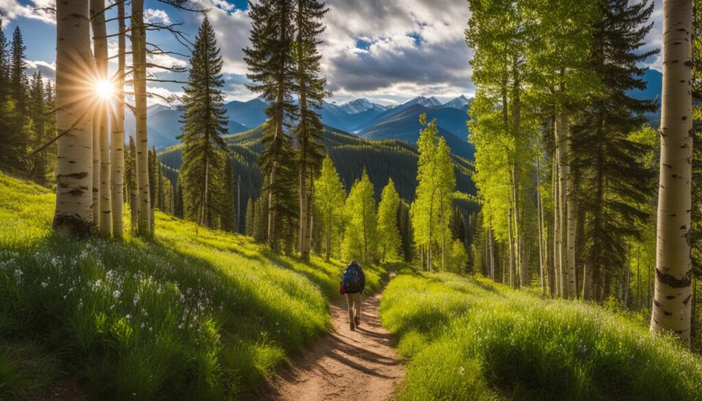 Aspen hiking trails