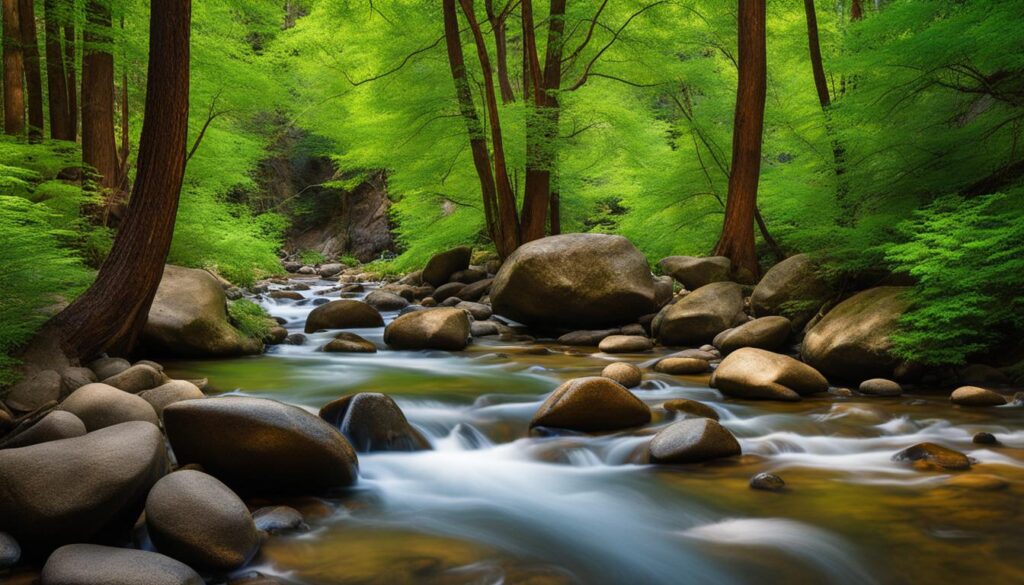 Boulder Creek Path