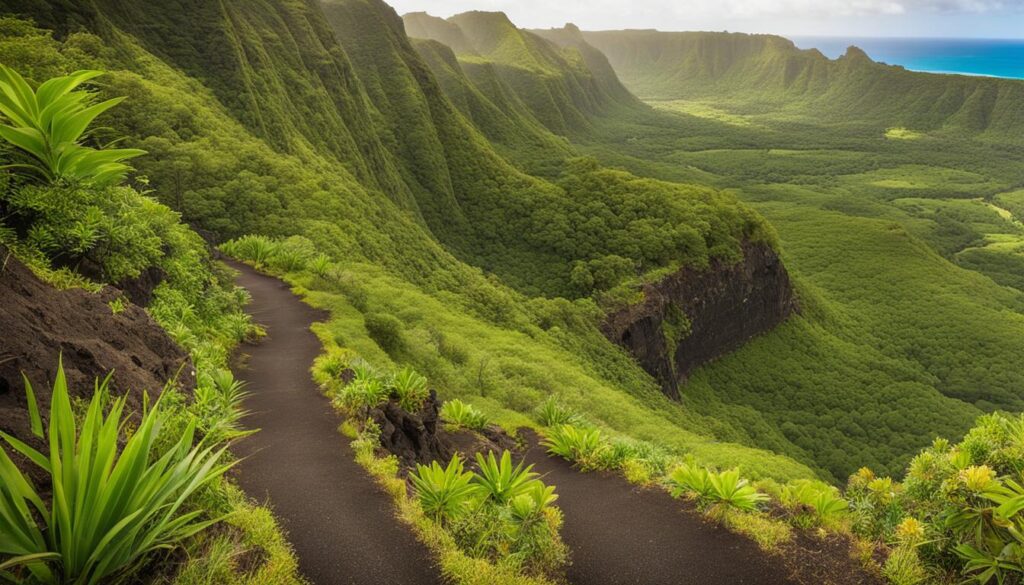 Hiking Trails in Hawaii Island