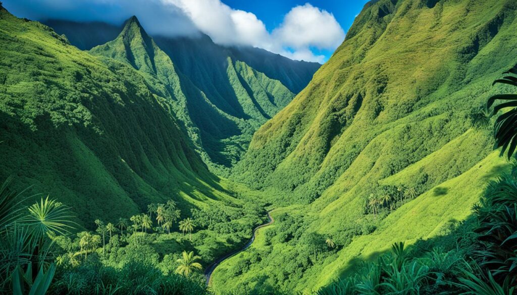 Menehune Ditch in Kauai