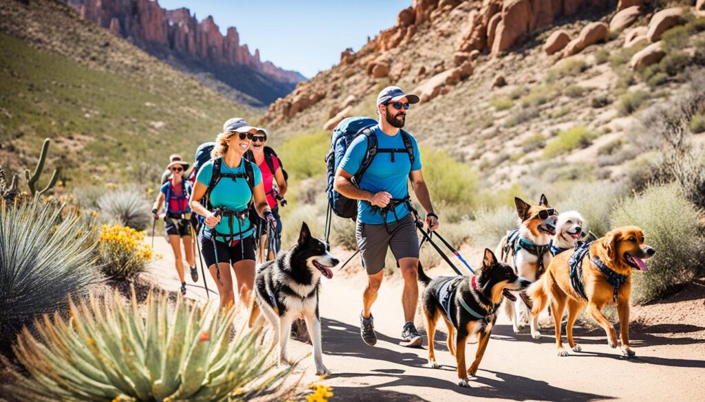 dog-friendly outdoor activities in Saguaro National Park