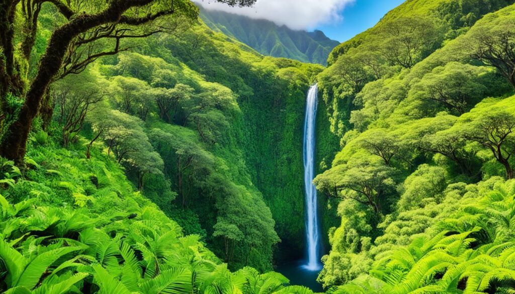 must-do hikes in Maui