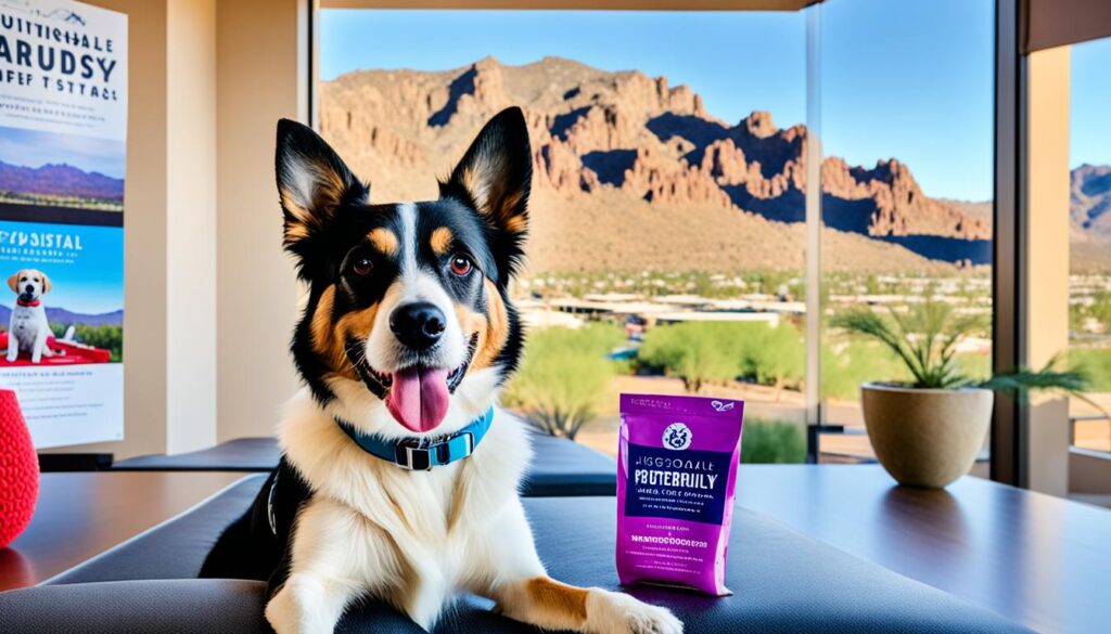 pet-friendly activities and hotels in Scottsdale