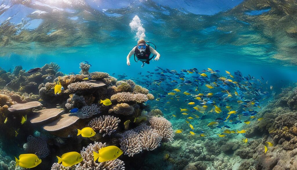 top snorkeling spots in Honolulu