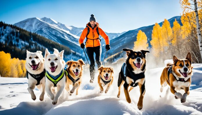 Aspen dog-friendly activities and accommodations