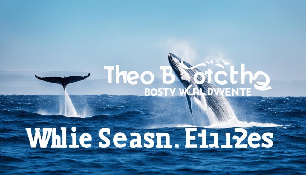 Boston whale watching calendar