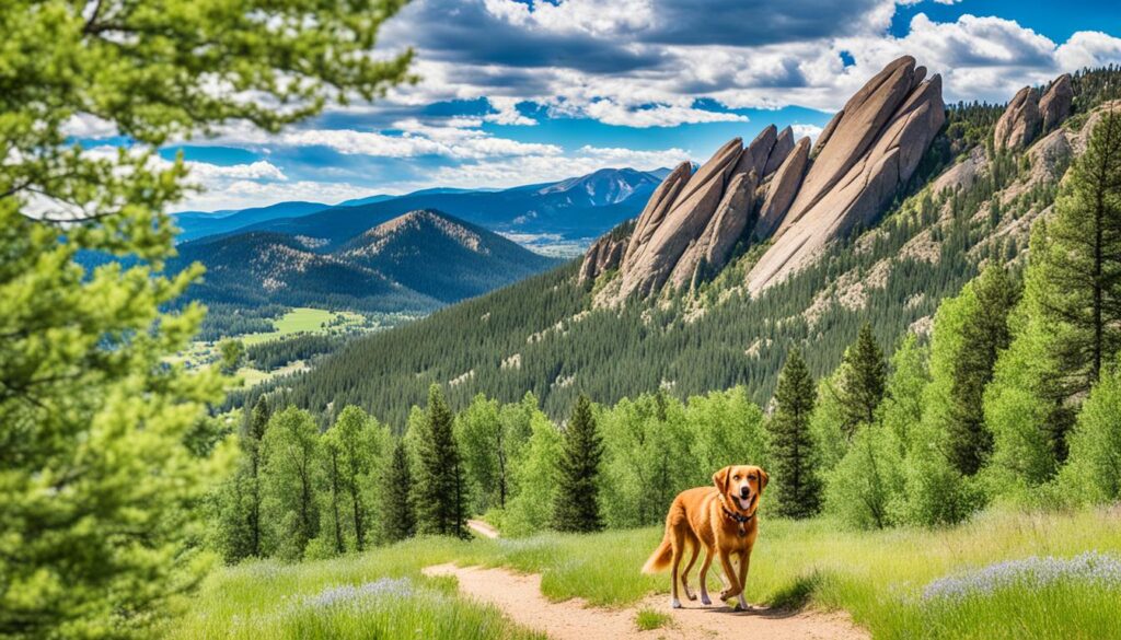 Dog-friendly hiking trail in Boulder's natural beauty