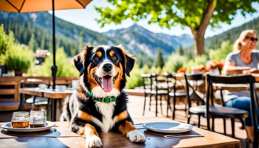 Dog-friendly restaurants in Boulder