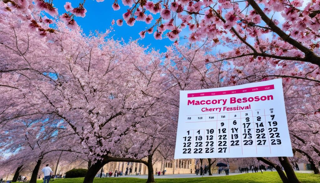 Macon Cherry Blossom Festival Schedule