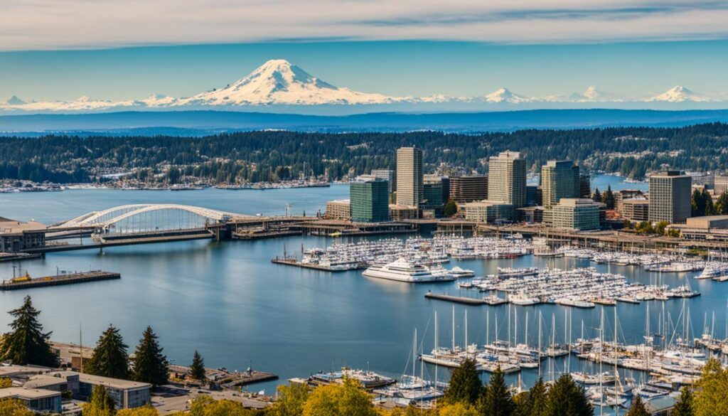 beautiful vistas Tacoma