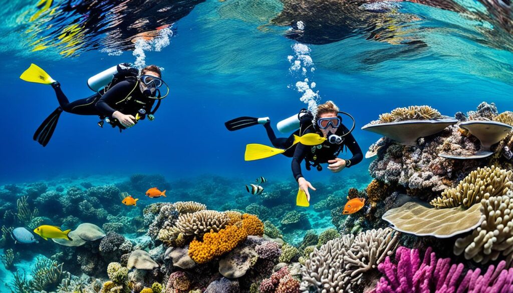 snorkel and dive packages