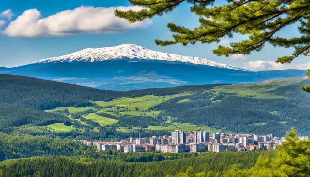 Vitosha Mountain